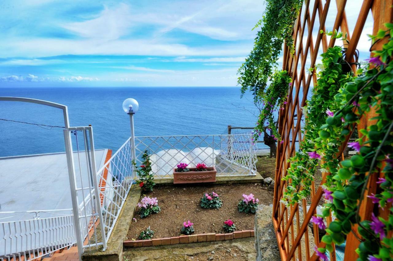 Chez Amelie Holiday home