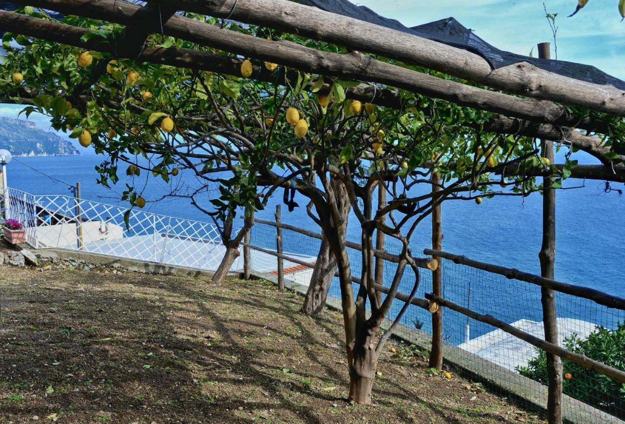 Holiday home Chez Amelie Amalfi